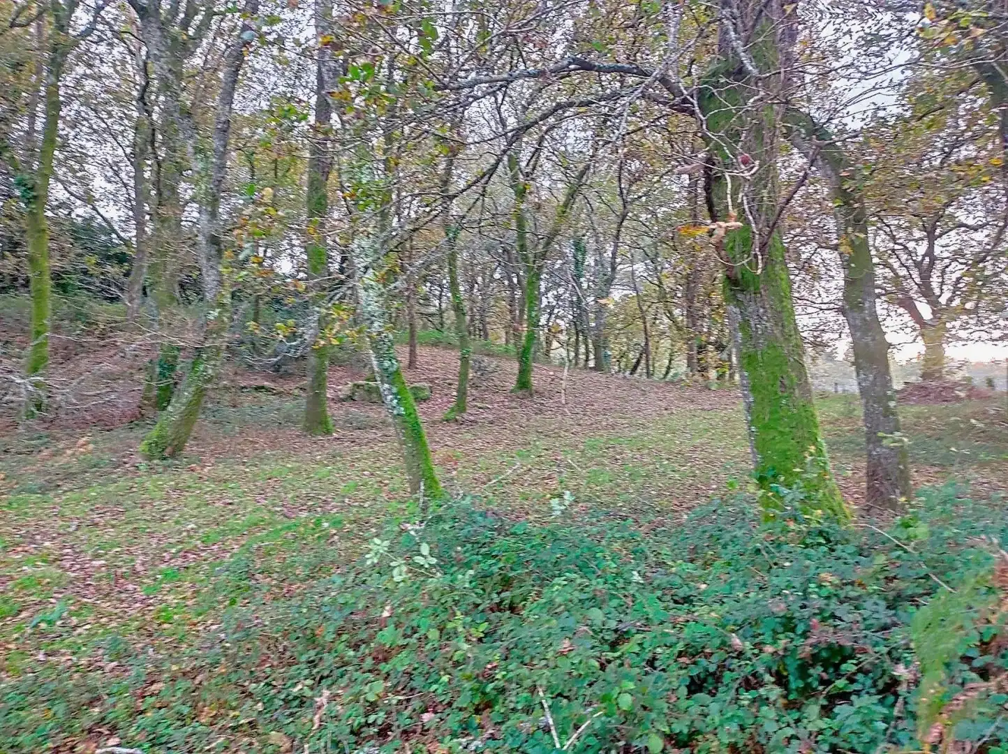 Finca rústica en venta en A Estrada 