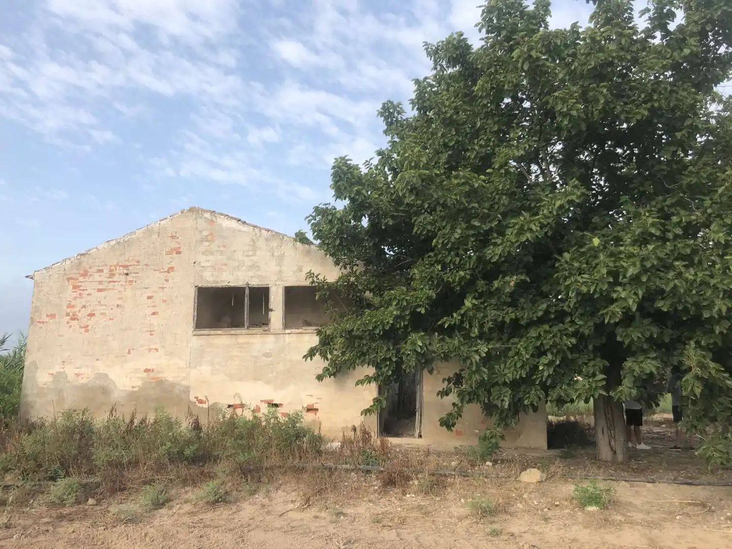 Terreny industrial en venda en Callosa de Segura