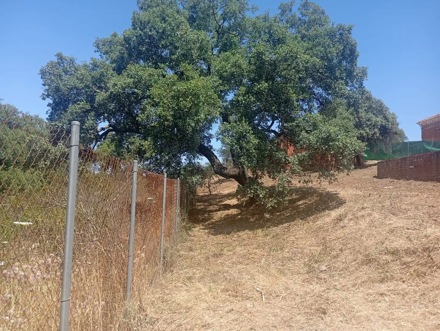 Terreni e lotti in vendita a Castilblanco de los Arroyos, imagen 29