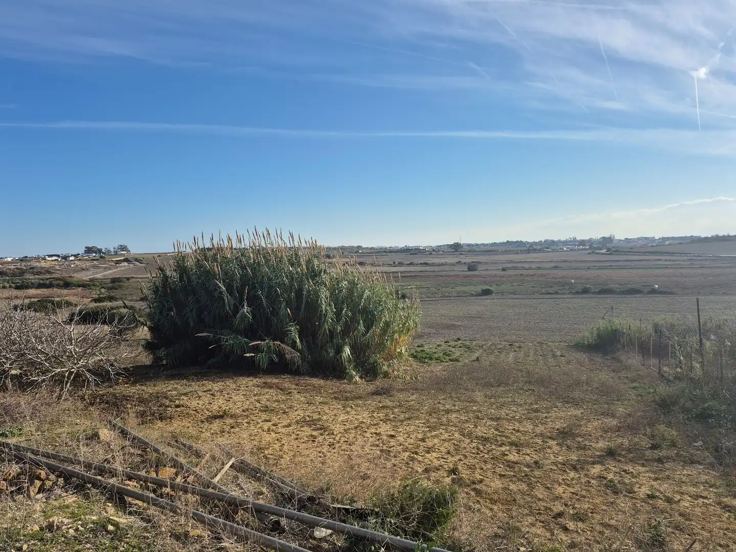 Terreny rústic en venda a Conil, imagen 4