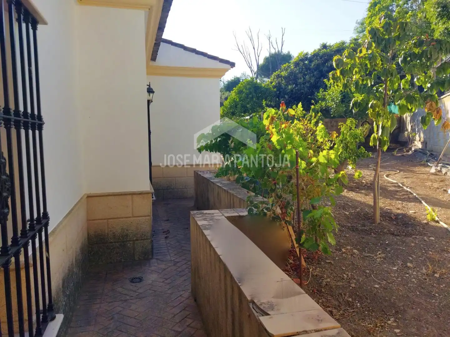 Vista exterior de Casa o xalet en venda en Arcos de la Frontera amb Calefacció, Jardí privat i Traster