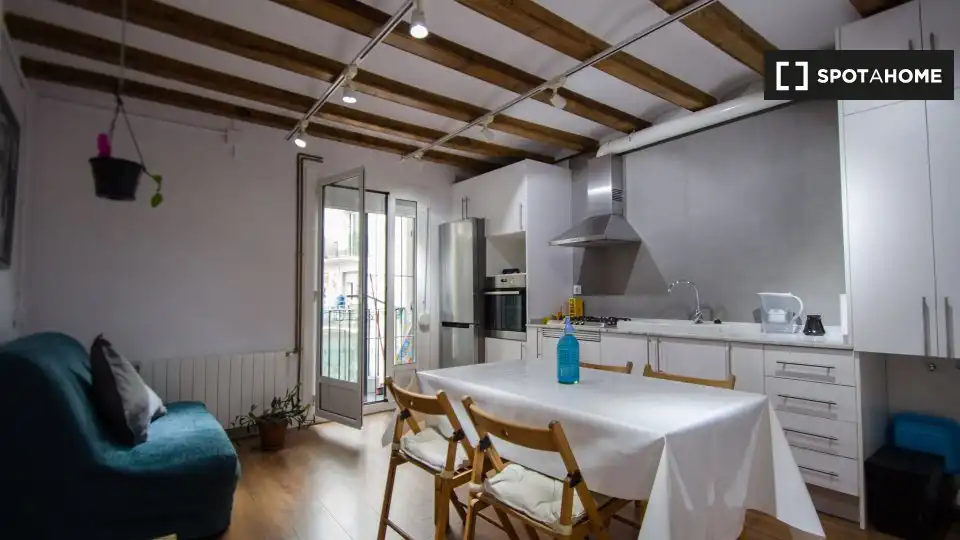 Flat with terrace to rent in Ciutat Vella, imagen 18