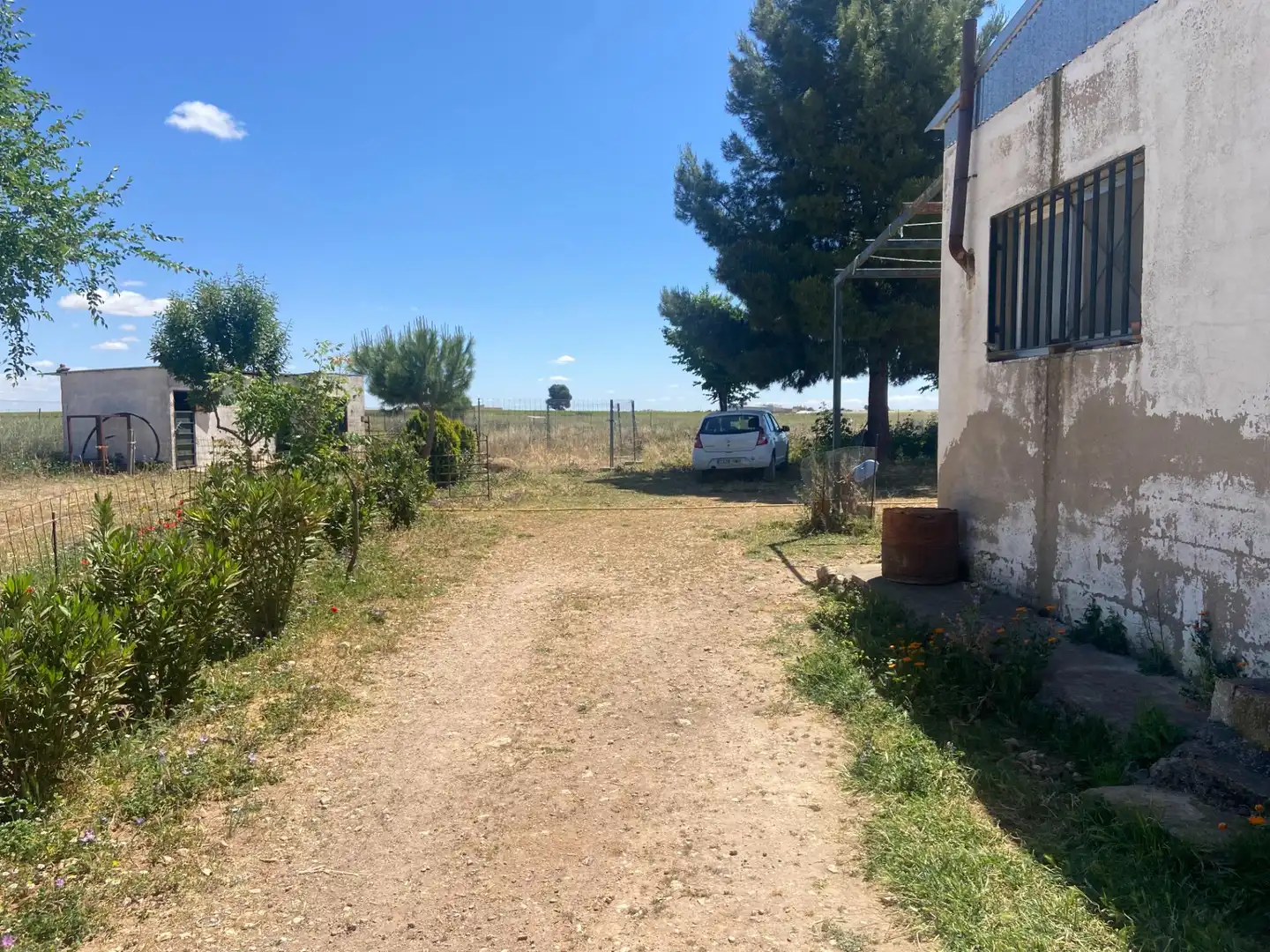 Terreny residencial en venda a Camino Camino de Torralba de Calatrava, imagen 9