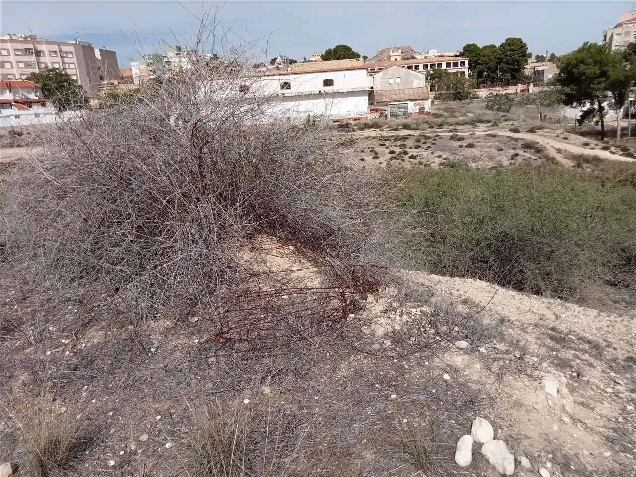 Terreny rústic en venda a Proc. Simplificado, 0002, imagen 21