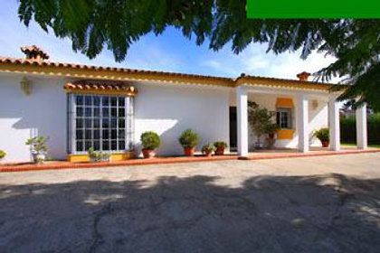 Vista exterior de Casa o xalet de lloguer en Conil de la Frontera amb Aire condicionat, Terrassa i Moblat