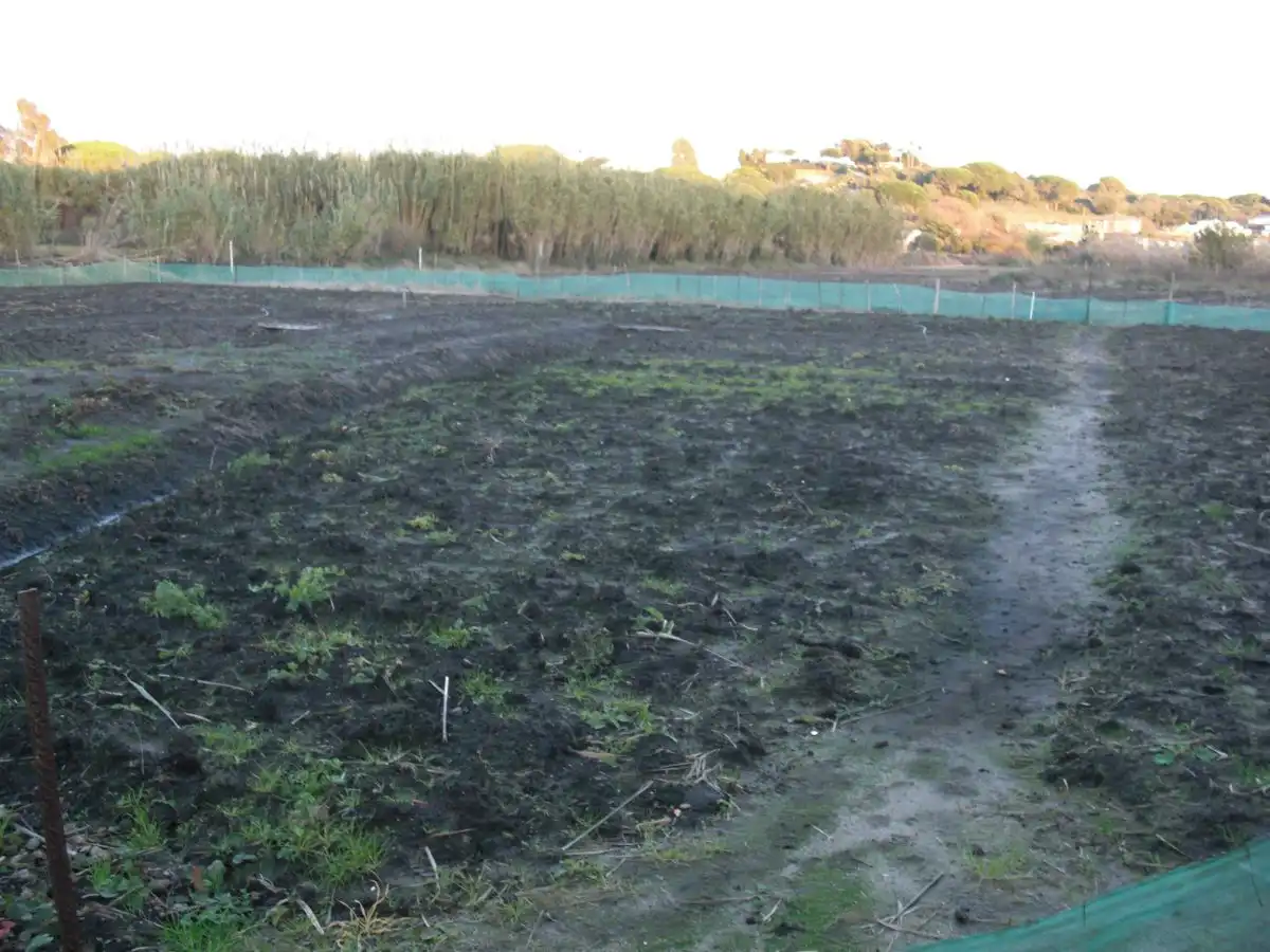Casa rústica en venda a Barbate ciudad, imagen 4