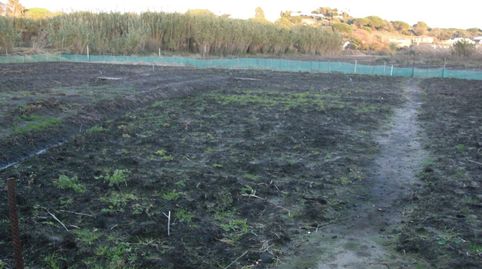 Finca Rúst. en venta en El Soto., imatge 4