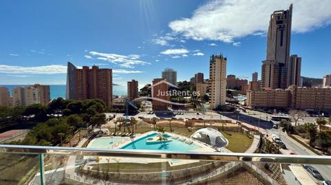 Foto 3 de Pis de lloguer a Playa Poniente, Alicante