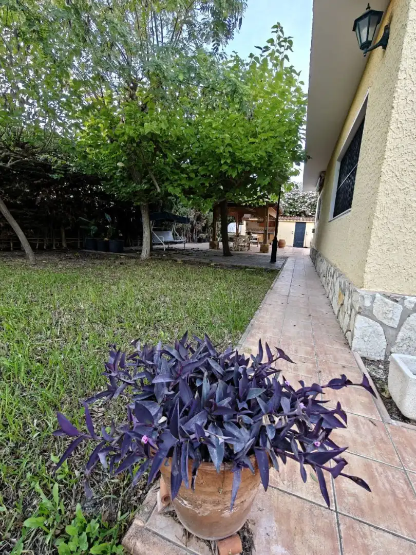 Jardín de Casa o chalet de alquiler en San Vicente del Raspeig / Sant Vicent del Raspeig con Aire acondicionado, Calefacción y Jardín privado