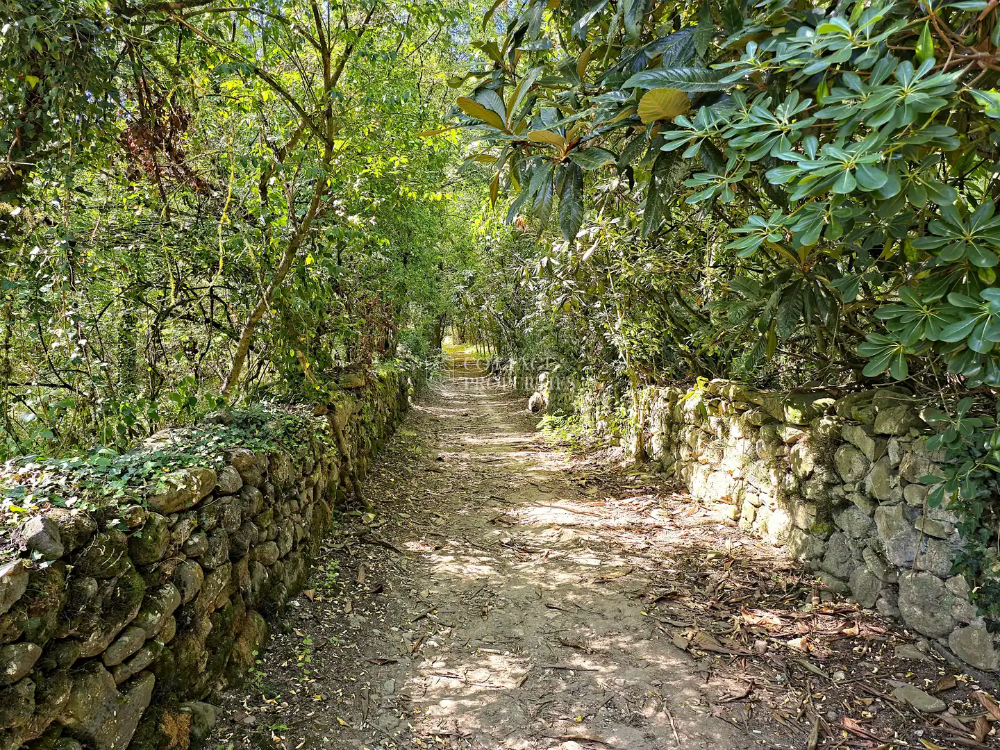 Casa rustica con giardino in vendita a Diseminat Afores, imagen 46