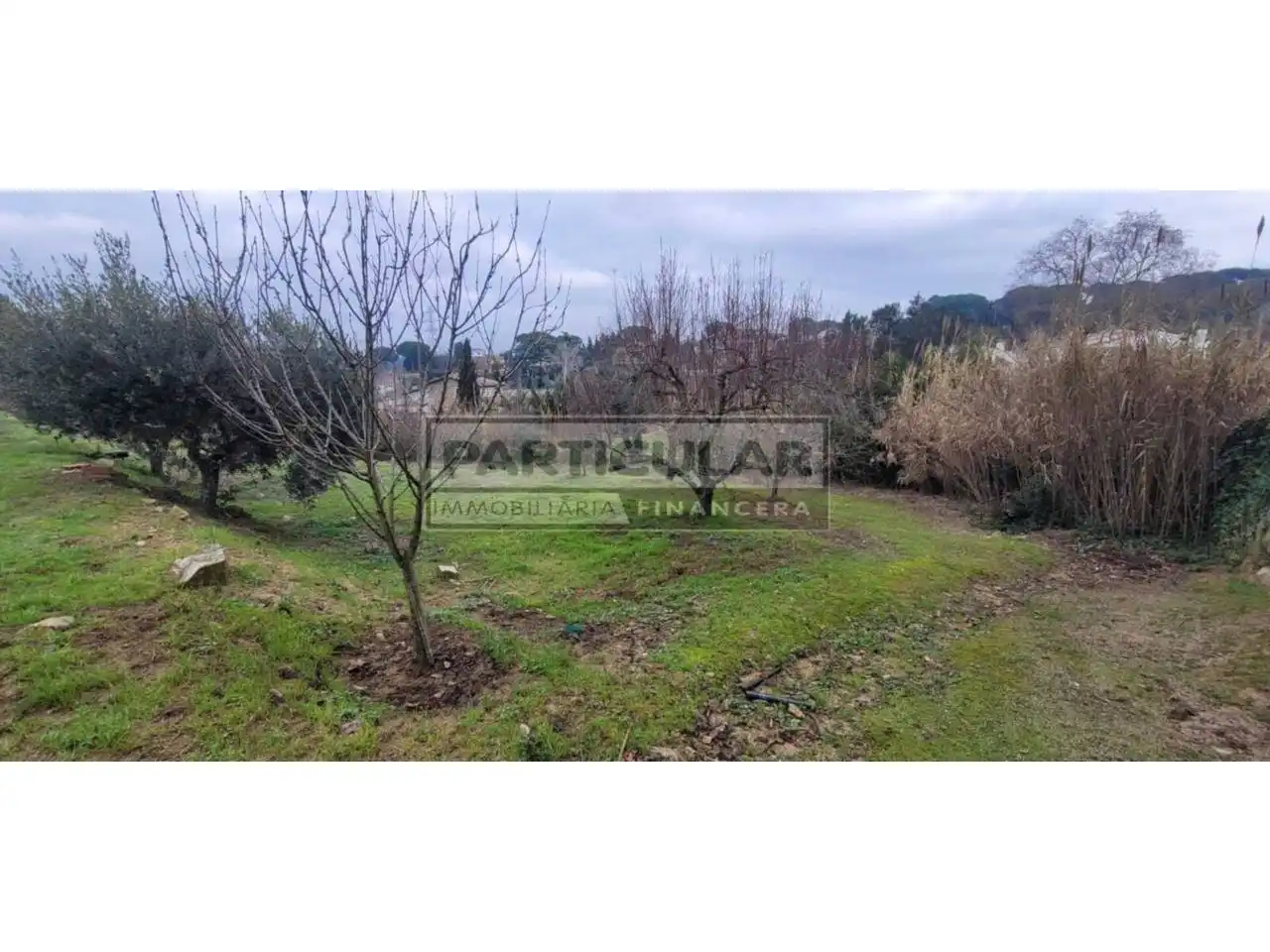 Casa con giardino in vendita a Calle De La Anoia 7, imagen 5