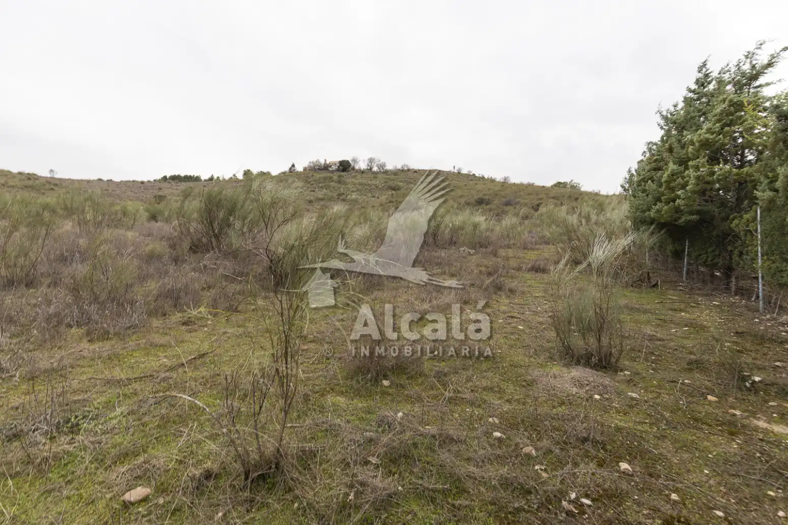 Terreny residencial en venda a Illana, imagen 19