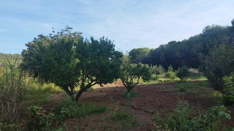 Photo 2 of Country house for sale in Mas Trader - Corral d'En Tort - Corral d'En Cona, Barcelona