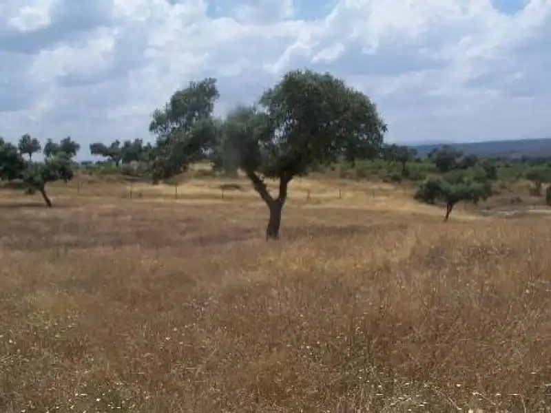 Terreni e lotti in vendita a Alcántara, imagen 26