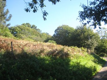 Terreni e lotti in vendita a Rural