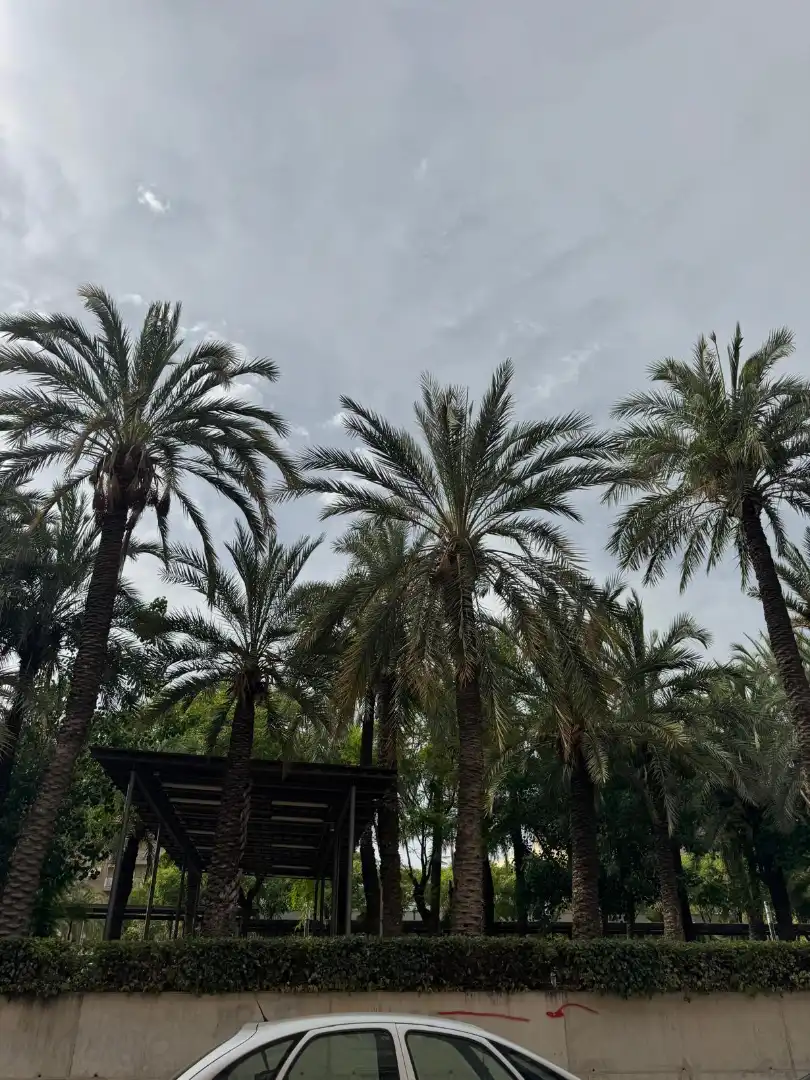Vista exterior de Pis en venda en Elche / Elx amb Alarma