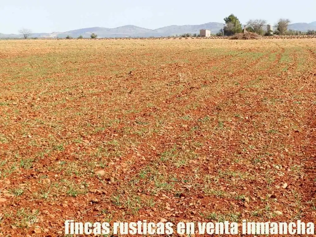 Rural land for sale in Valdepeñas, imagen 7
