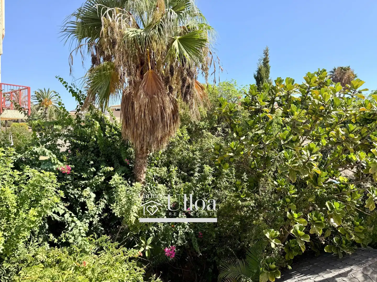 Villa mit Pool zum Verkauf in Calle de la Tintorera, imagen 30