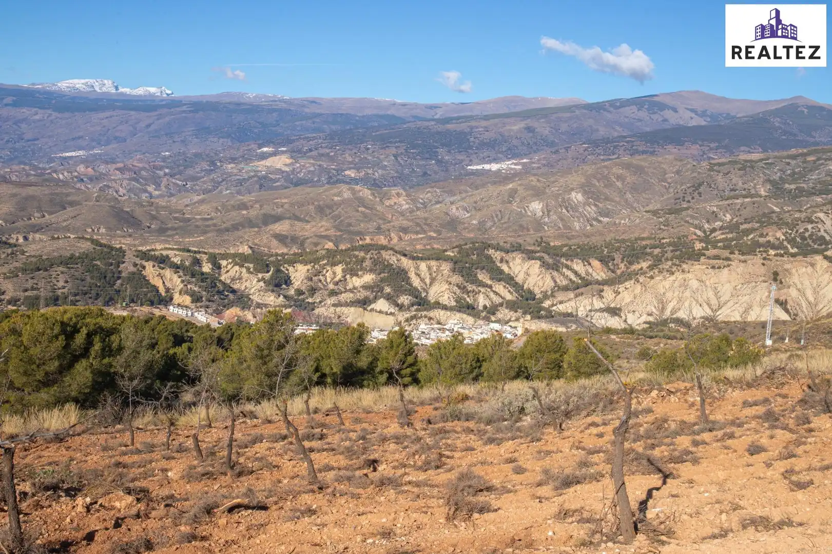 Terrain rustique à vendre à Alcolea, imagen 7
