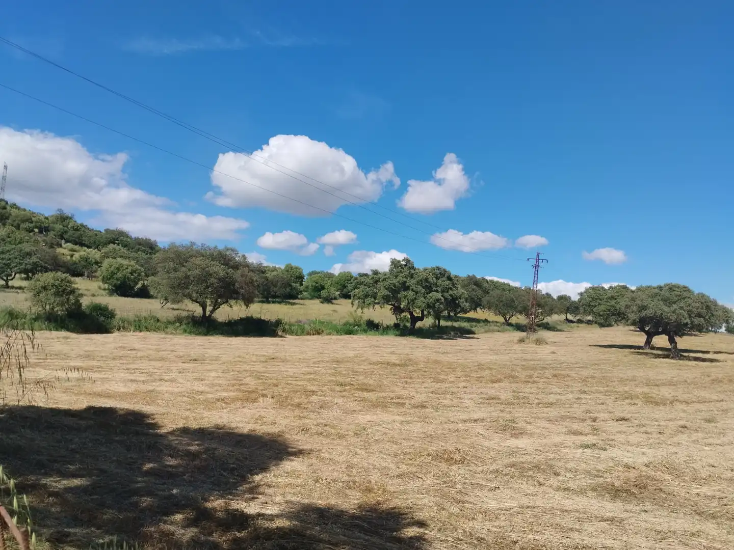 Terreni e lotti in vendita a Jerez de los Caballeros, imagen 11