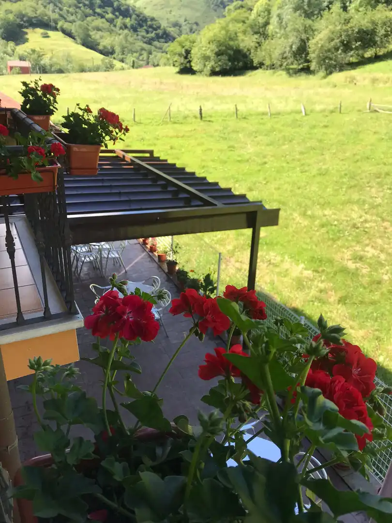 Maison avec jardin à vendre à Ponga, imagen 6