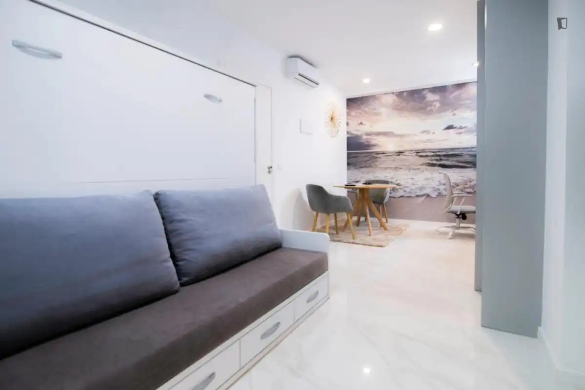 Sala d'estar de Estudi de lloguer en Valencia amb Aire condicionat, Calefacció i Moblat