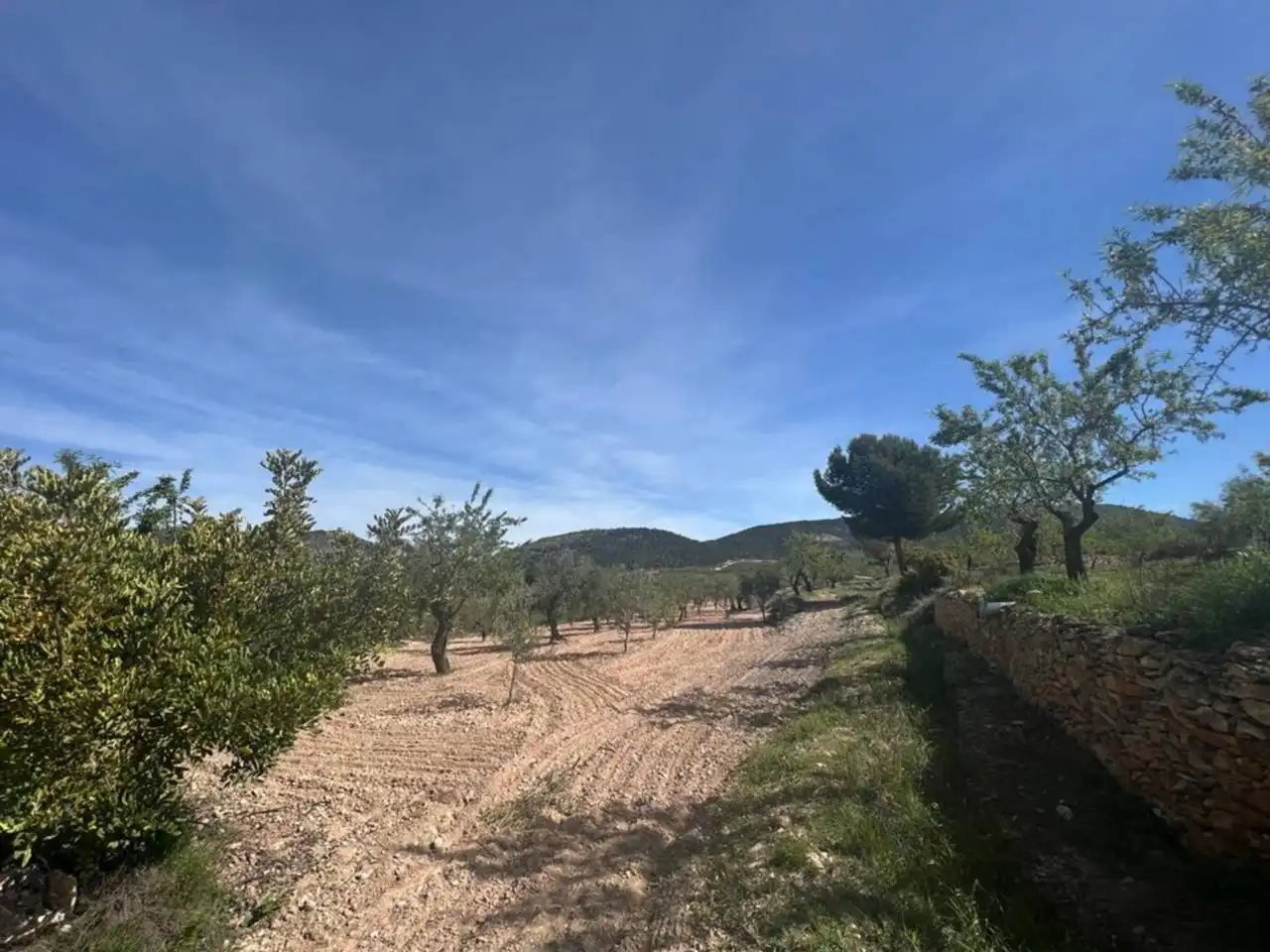 Chalet con jardín en venta en Calle Poligono, imagen 64