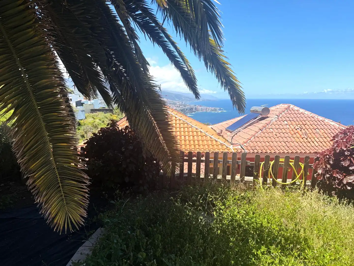Exterior view of Detached homes for sale in Santa Úrsula  with Private garden, Terrace and Swimming Pool