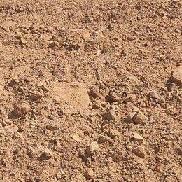 Terreno en Venta en Carretera de Níjar a Retamar, 42 en Retamar