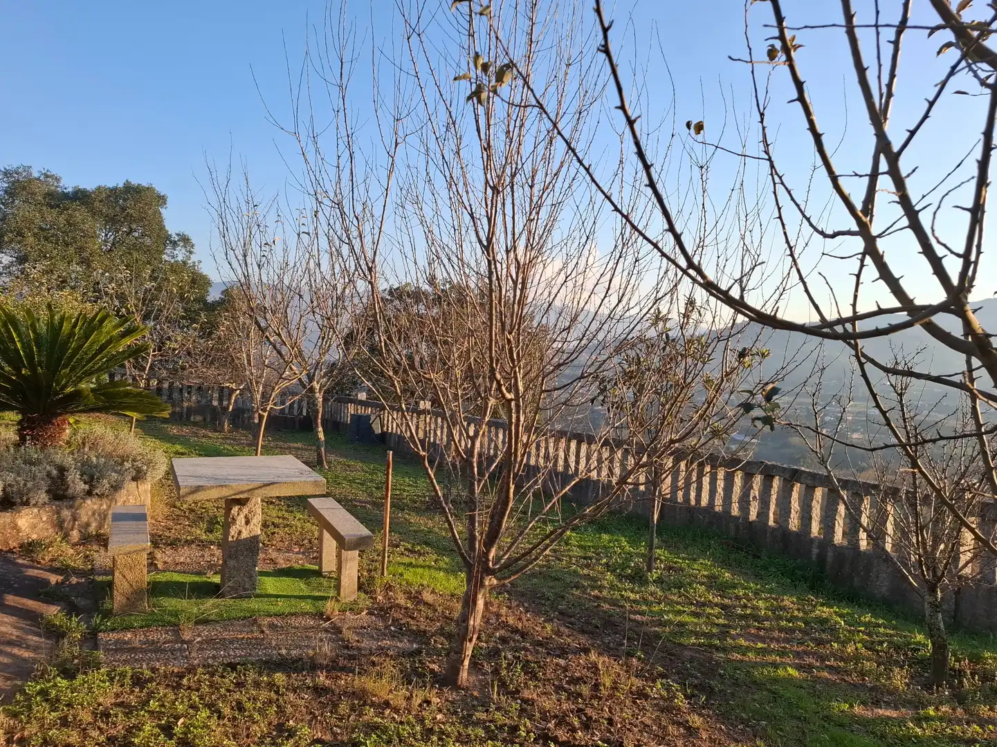 Casa o xalet en venda en As Neves   amb Calefacció, Jardí privat i Terrassa