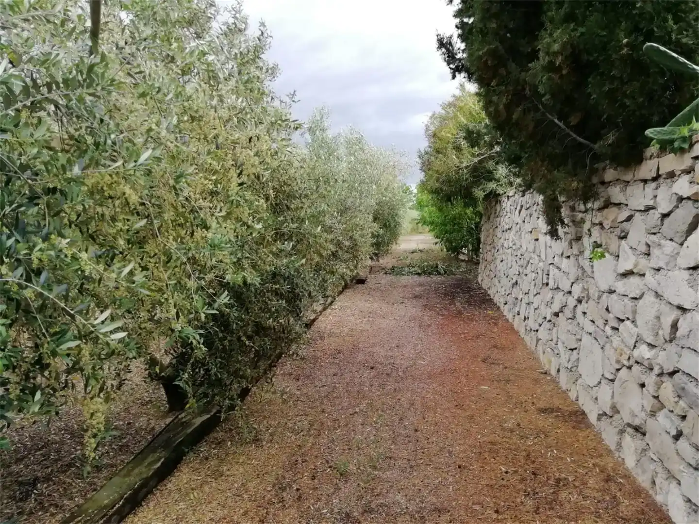 Finca rústica en venda en Móra la Nova amb Aire condicionat i Piscina
