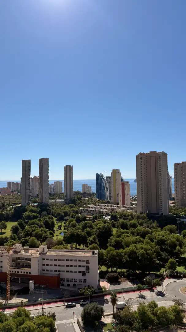 Apartment with pool to rent in Calle Presidente Adolfo Suárez 5A, imagen 16