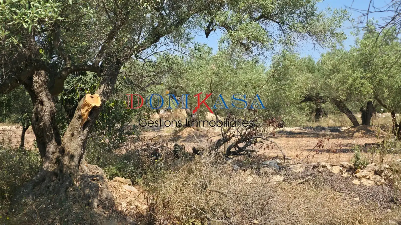 Terreny rústic en venda a Camarles, imagen 5