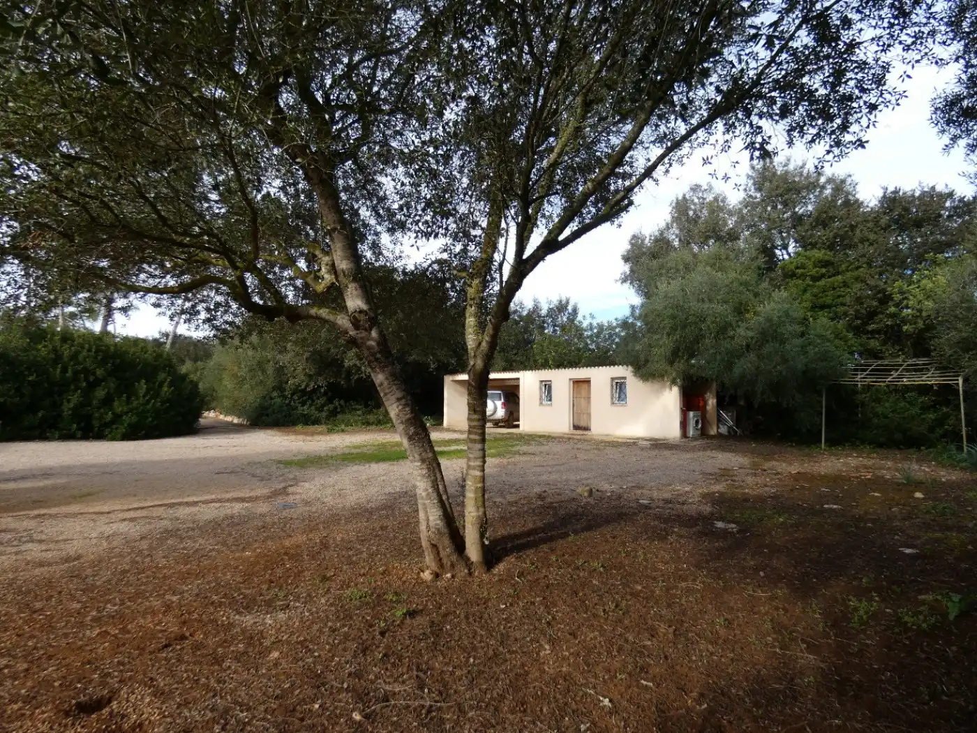 Casa o chalet en venta en Porreres