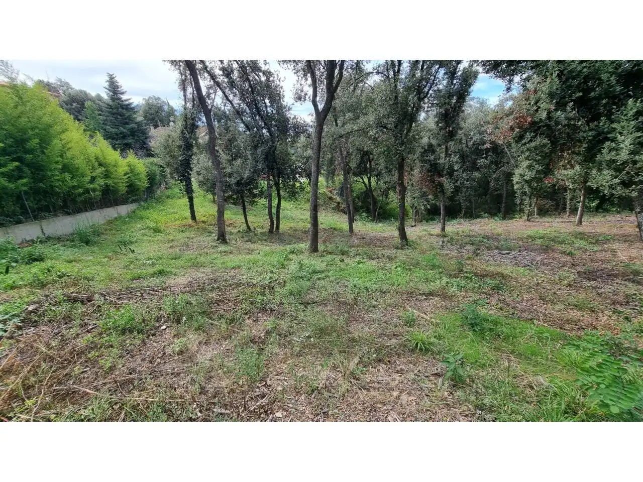 Terreny residencial en venda a Calle Tórtora 145, imagen 6