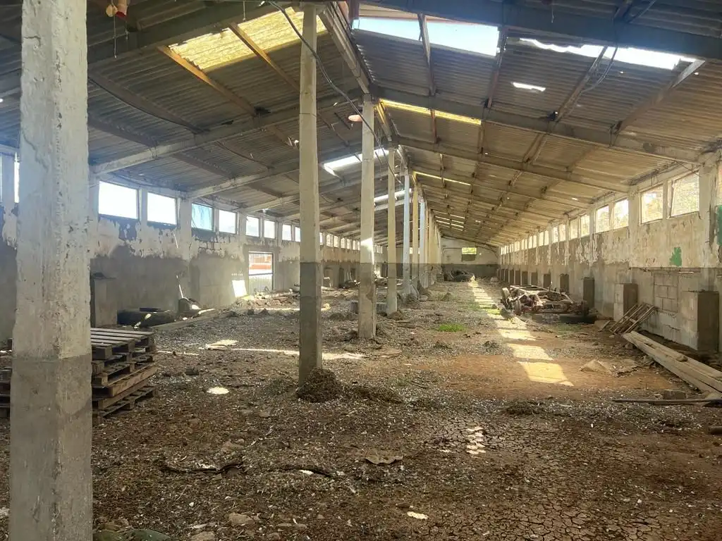 Terreny rústic en venda a La Aldea de San Nicolás, imagen 12