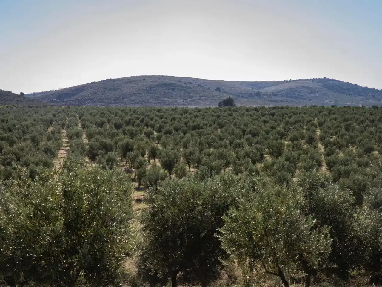 Finca rústica en venda en Garvín amb Aire condicionat, Jardí privat i Piscina