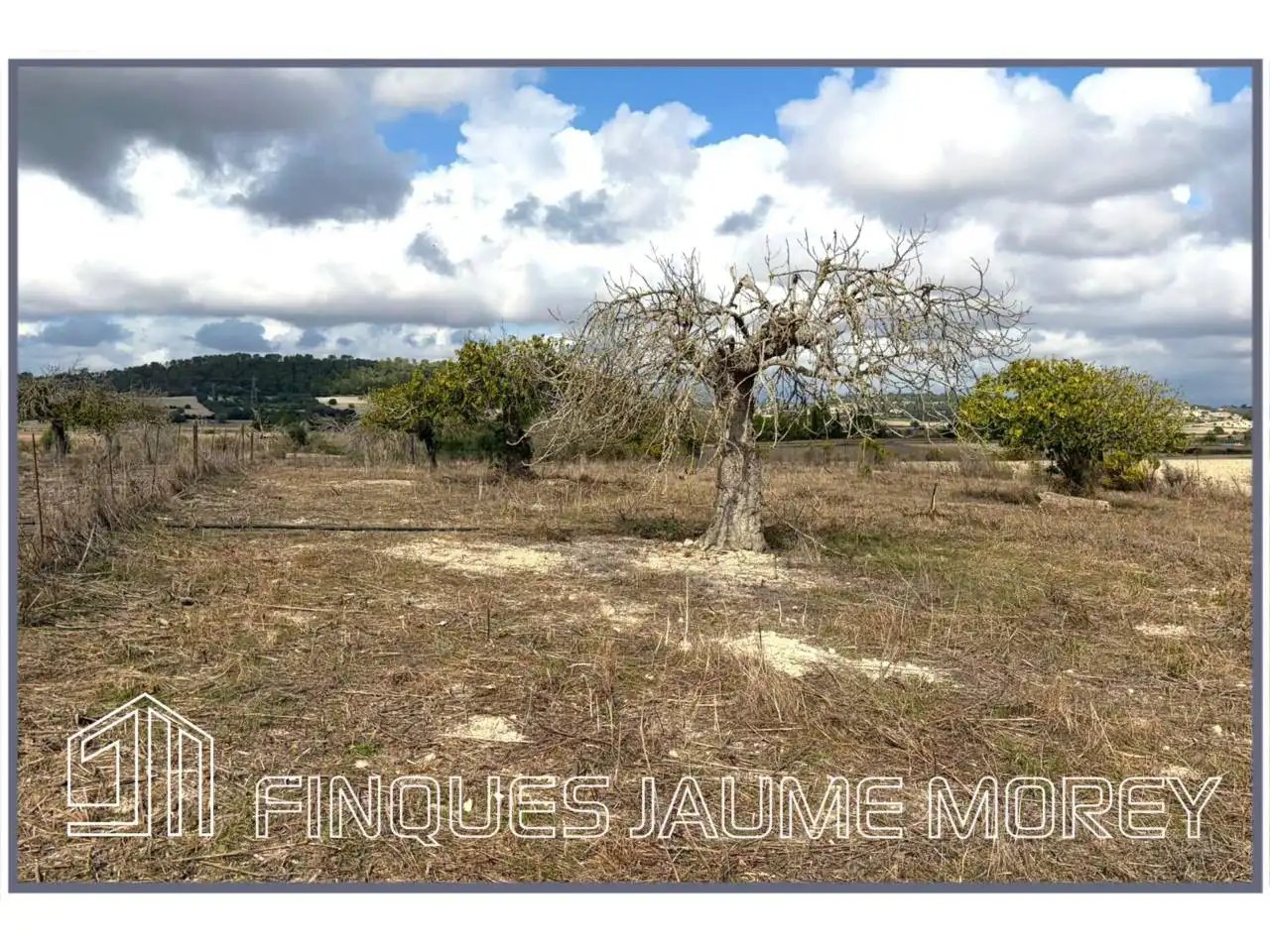 Finca rústica en venta en Maria de la Salut con Jardín privado