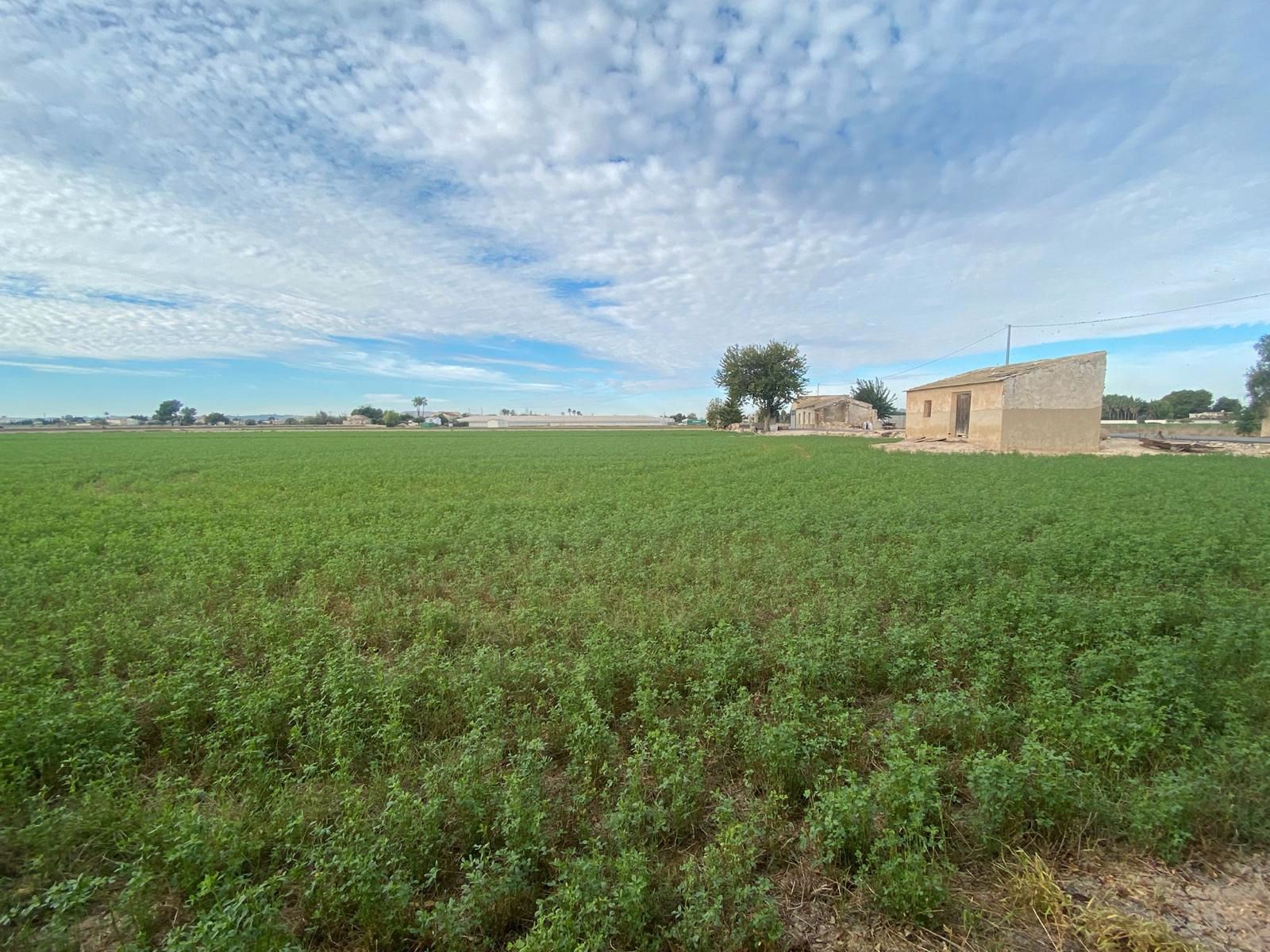 Terreno en venta en Dolores