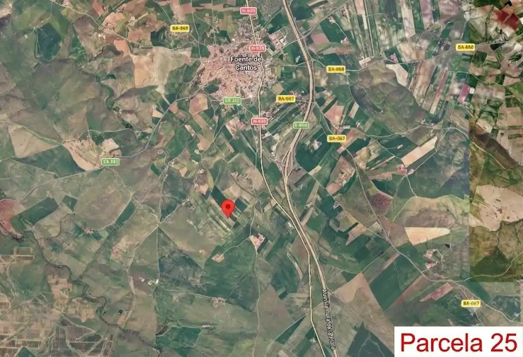 Terreny en venda en Fuente de Cantos