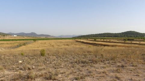 TERRENOS PARA CONSTRUIR EN SALINAS, imatge 3