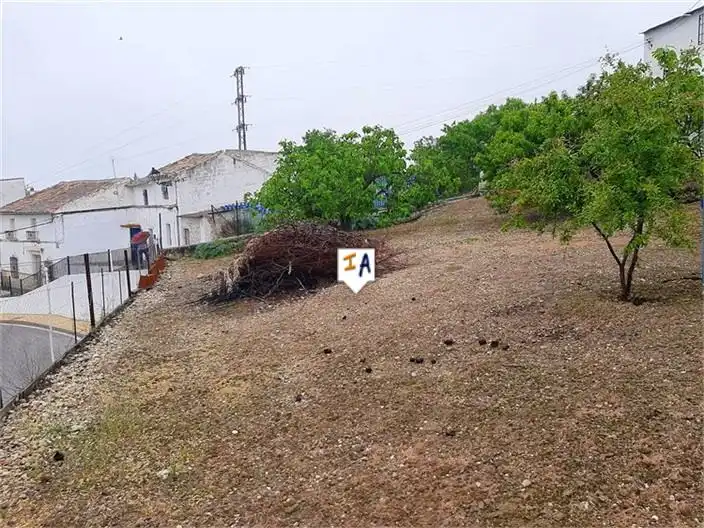 Detached homes for sale in Fuente-Tójar  with Storage room