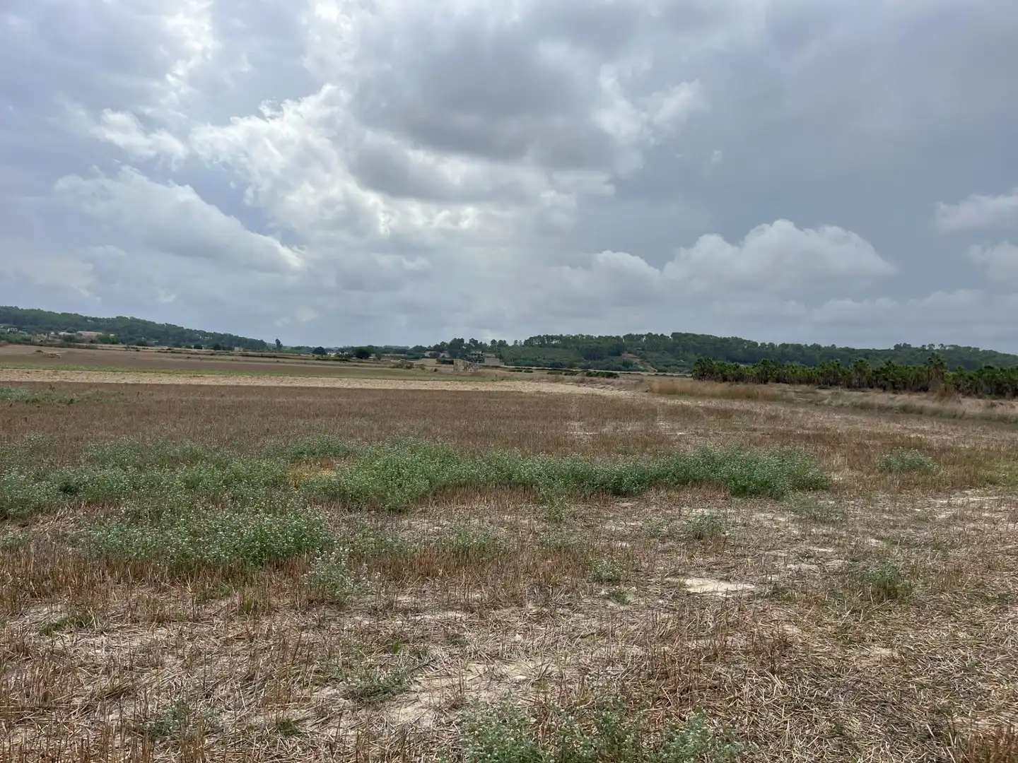 Land for sale in Sant Joan