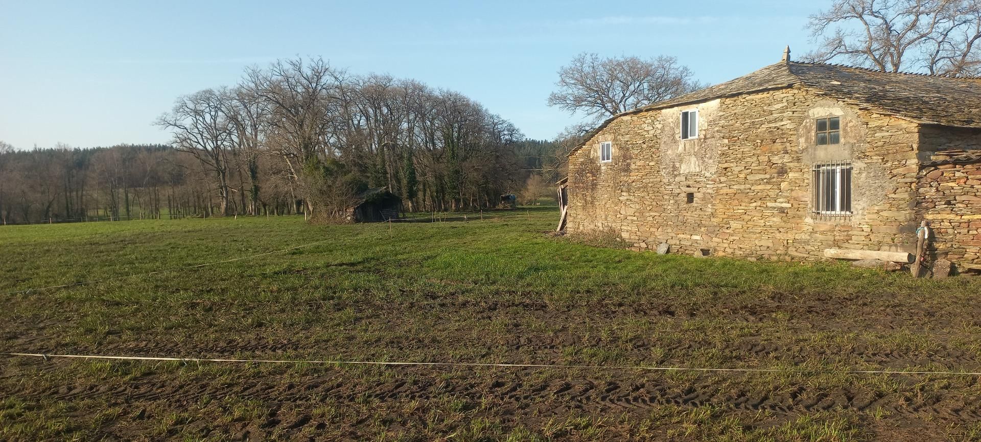 Finca rústica en venda en Castro de Rei amb Jardí privat