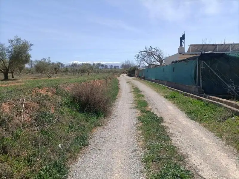 Casa rústica en venda a Polígono LA ZANJA, imagen 20