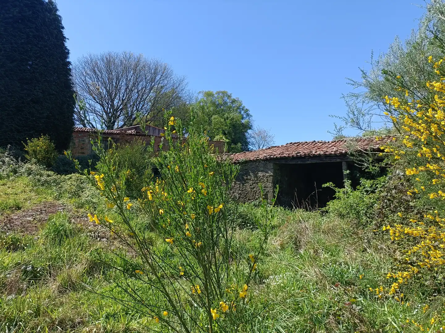 Casa con jardín en venta en Curtis, imagen 16