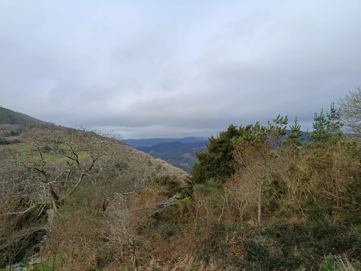 Vista exterior de Finca rústica en venda en A Pontenova   amb Jardí privat, Terrassa i Balcó