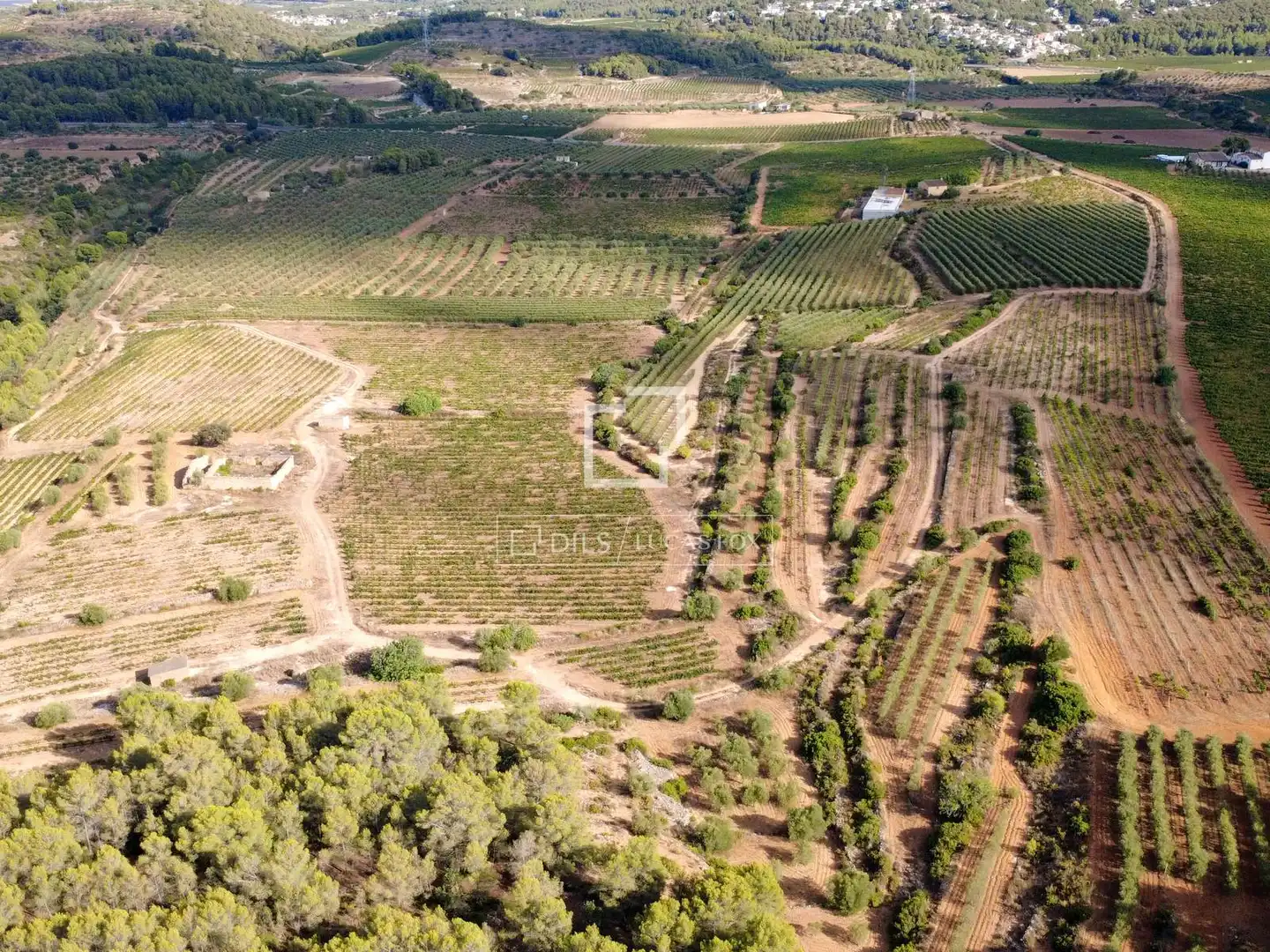 Finca rústica en venda a La Bisbal del Penedès
