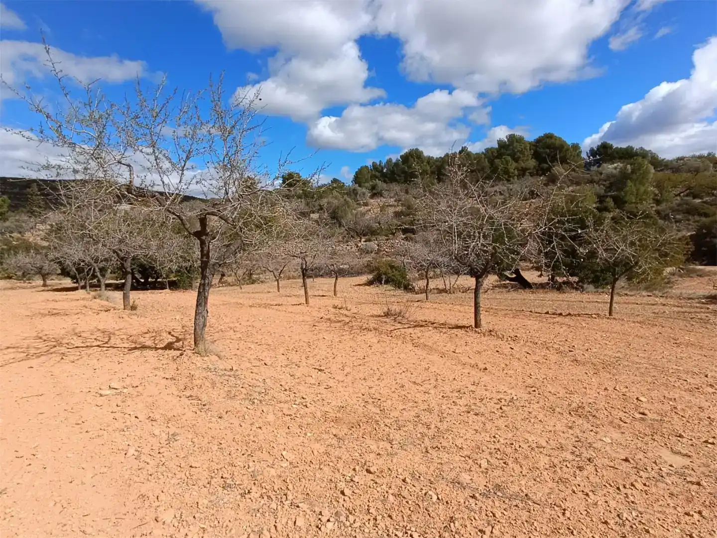Land for sale in Useras /  Les Useres
