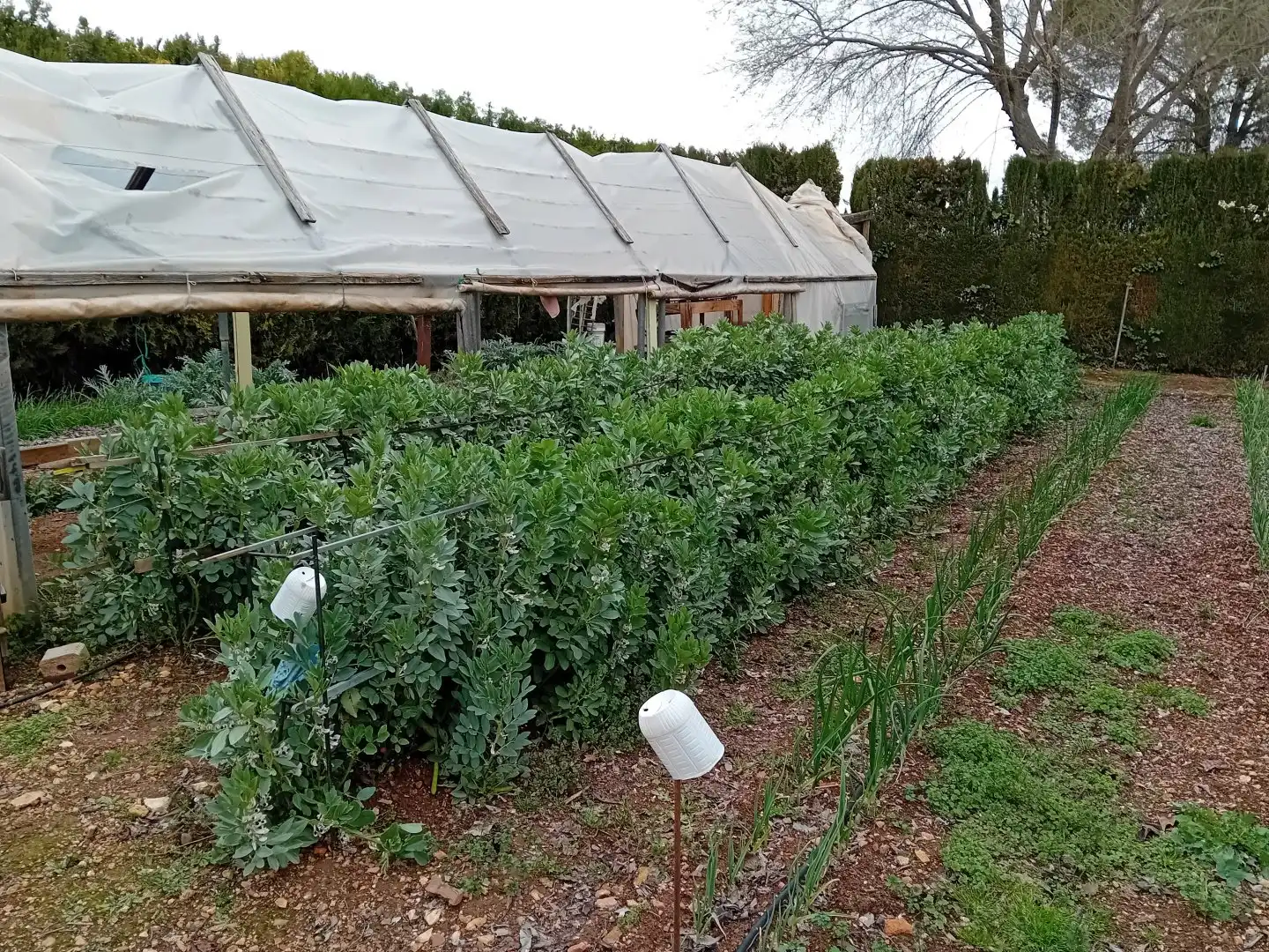 Garden of Houses for sale in Ciudad Real  with Air Conditioner, Heating and Private garden